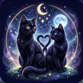 黒猫夫婦占い師