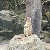 てん。。。