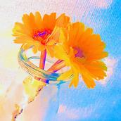 花音（かおり）