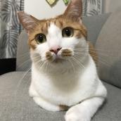 のすけ様