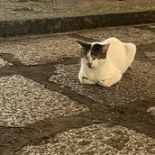 すもーるポンド