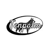 Tenpalm_shopify制作