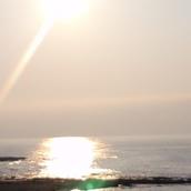 まぁくんの相談と語学部屋