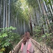 大友果帆