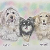 たかこママ♡愛犬に優しいごはんとおやつ♡