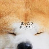 ゆったりむー