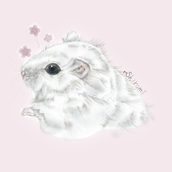 ShiromiChan