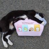 ビジネスキャリアデザイナー