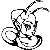 Tetrapod4