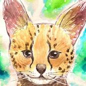 tenmontamago