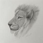 ナツキのいきもの鉛筆画