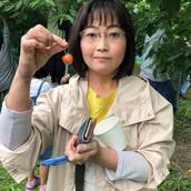 人生七転び八起き