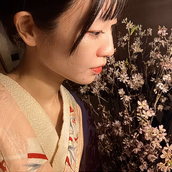 多治見茉莉花