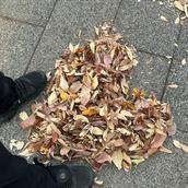 れん_恋愛相談
