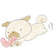 naohu