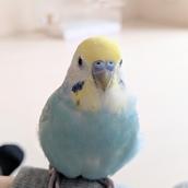 える先生 心理カウンセラー