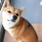 Web広報プランナーmasa