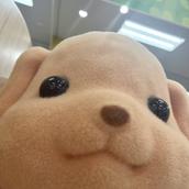 白米美味しいね