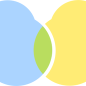 Danny Web Create