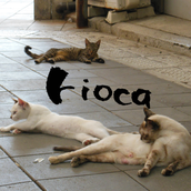 rioca_stra