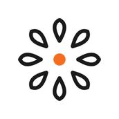 Ryoma Design STUDIO