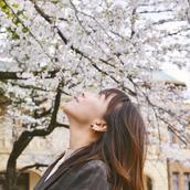 Omoo｜オモーデザイン