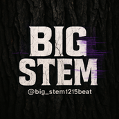 bigstemdesign