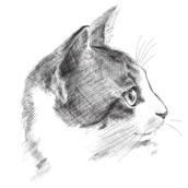 ねこの似顔絵屋