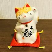 猫大福（ナオト･ベルシーミ）