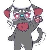 宵乃海 とい猫