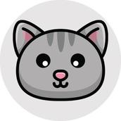 BTCクリプト仙人