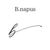 Bnapus ビーナーパス