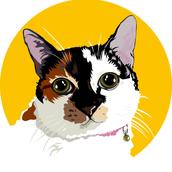 ふくまき工房