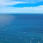 海波　爽