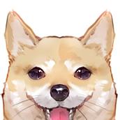 しばはち