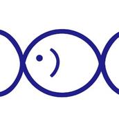 universeウミトプラス