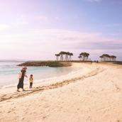 ao to ki デザイン制作所