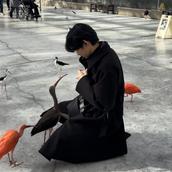 あなたのためのインテリア