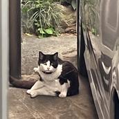 いたばし校正舎