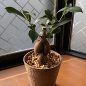 UI工芸
