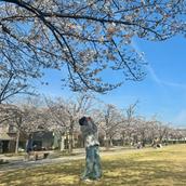 ぺいフォト