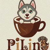 PiLino