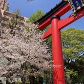 パソコントラブル対応のミライスコープ