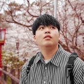 EIZO MIMOZA ぜんよう
