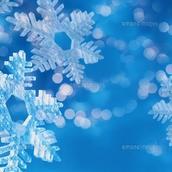 丹野　光雪