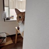 すずき｜モヤモヤを言葉に