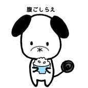 Nikiとココット