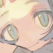 nima Illustrator