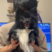 高輪涼太