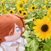 もなか໒꒱